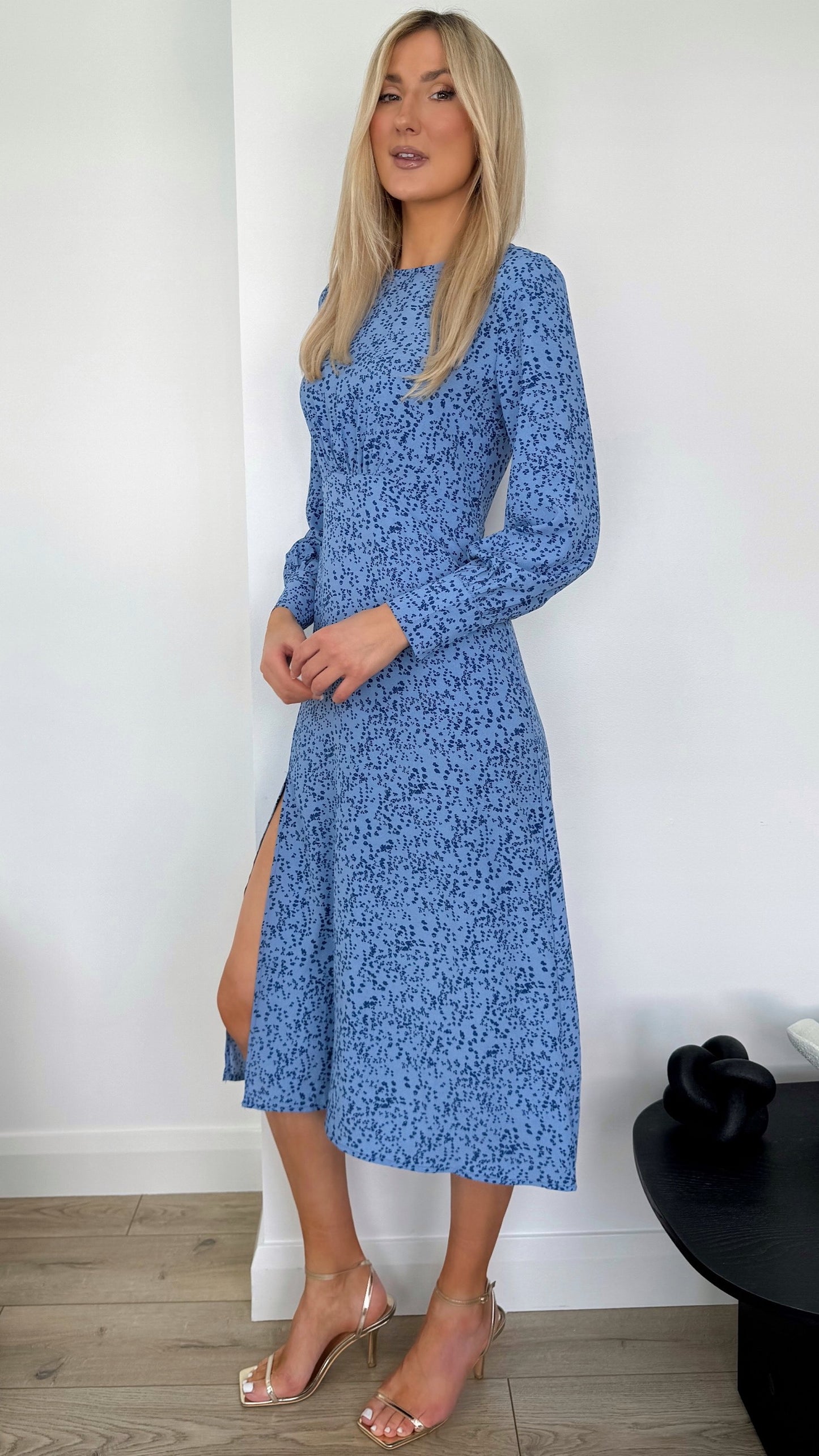 Florence Floral Printed Dress - Blue